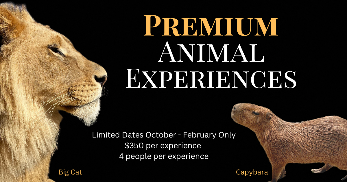 Premium Animal Experiences