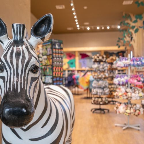 Zoo Gift Shop