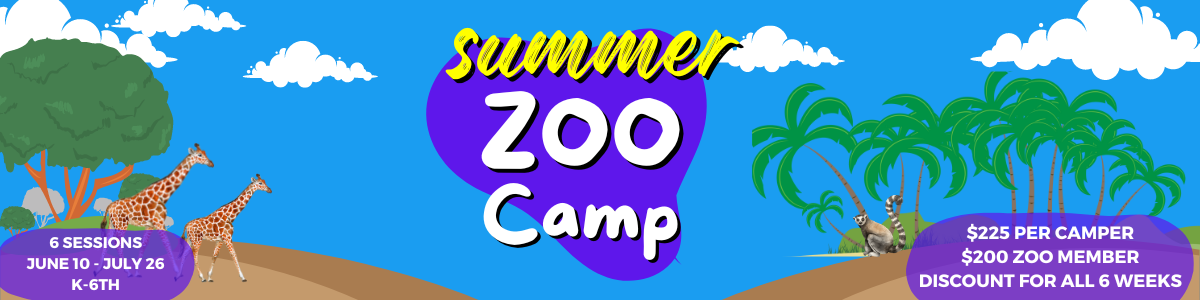 zoo camp 2024 alabama gulf coast zoo
